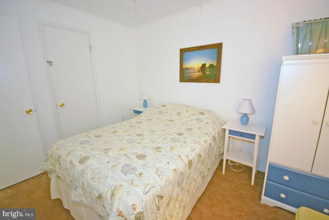 bedroom with carpet flooring