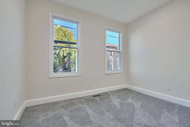 spare room featuring carpet flooring and plenty of natural light