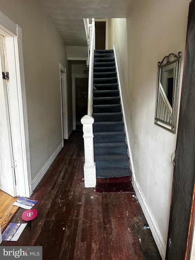 stairs with hardwood / wood-style floors