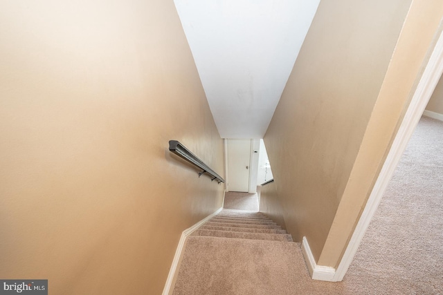stairs featuring carpet floors and baseboards