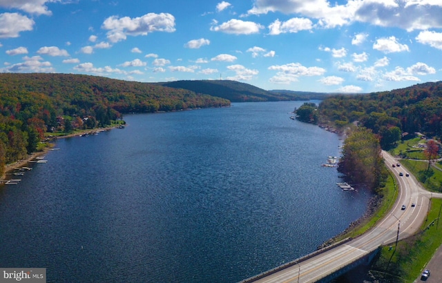 property view of water featuring a mountain view