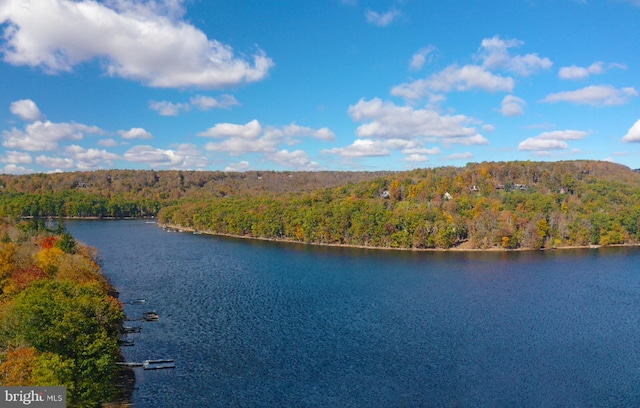 property view of water