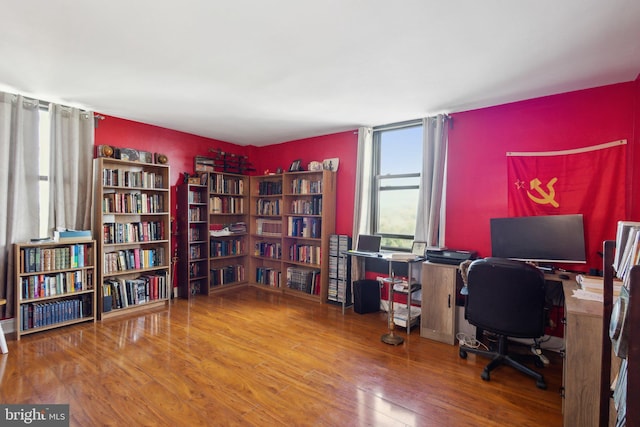 office featuring wood-type flooring