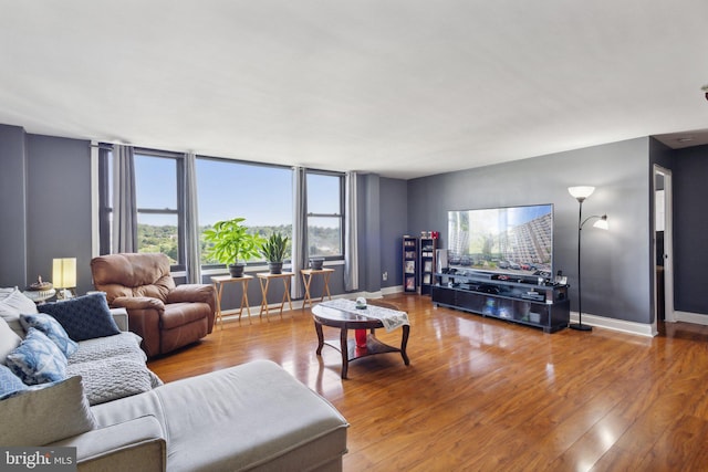 living room with wood-type flooring