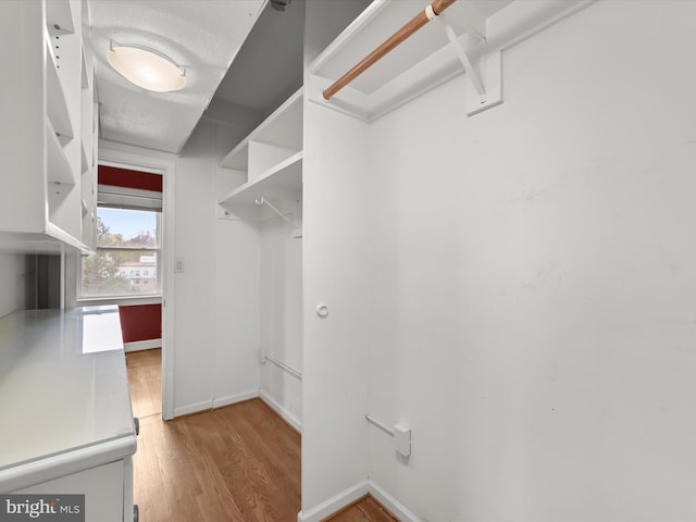 spacious closet featuring wood finished floors