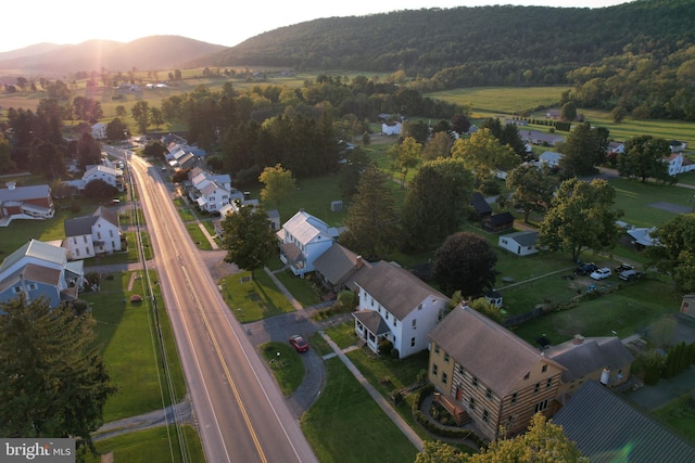 bird's eye view