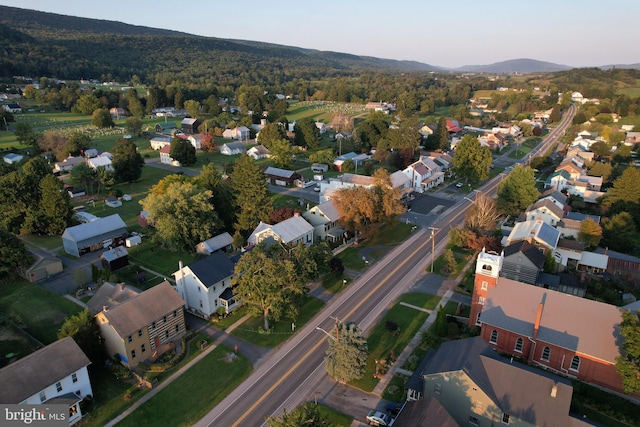 drone / aerial view