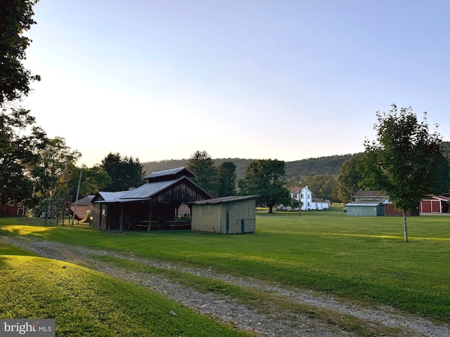 view of yard with a shed and a playground