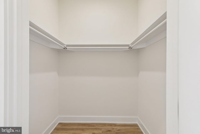 walk in closet with hardwood / wood-style flooring