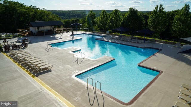 view of swimming pool with a patio area