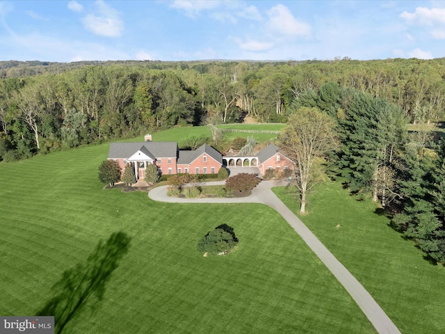 bird's eye view with a view of trees