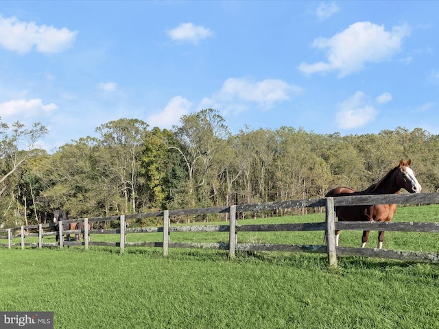 view of yard with a rural view, fence, and a view of trees