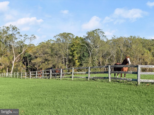 view of yard with a rural view and fence