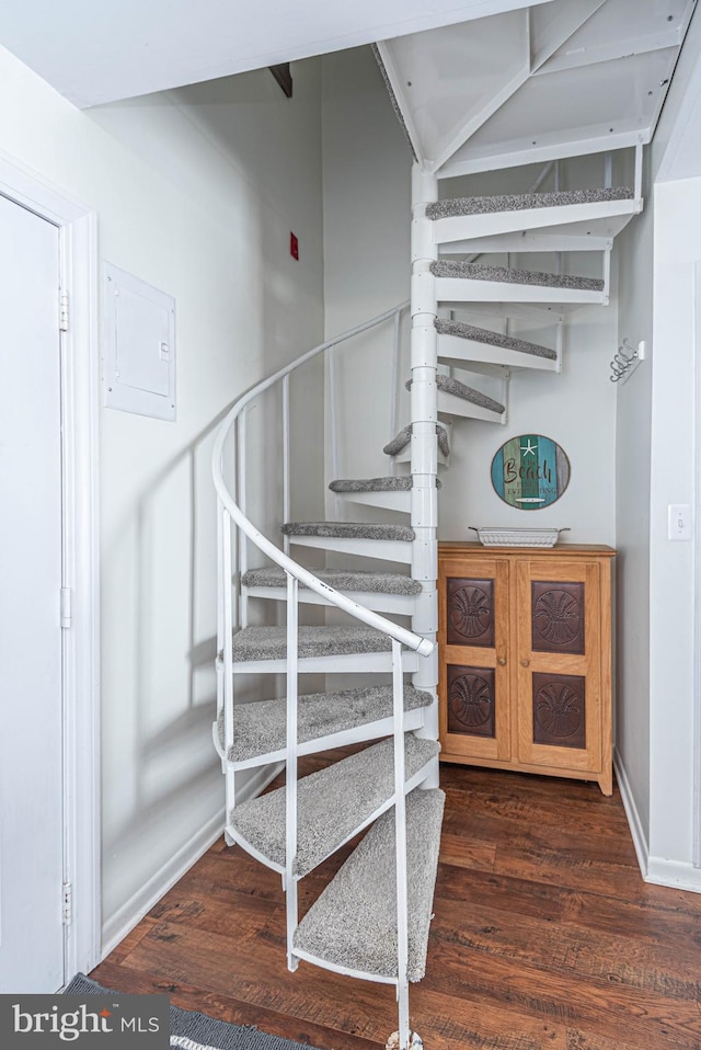 stairway with wood-type flooring