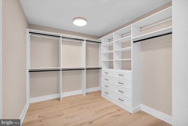 walk in closet featuring light hardwood / wood-style flooring