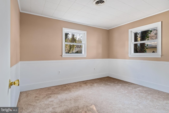 spare room with crown molding and carpet