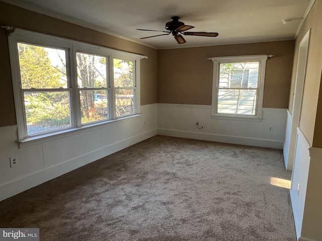 unfurnished room with crown molding, carpet floors, ceiling fan, and plenty of natural light