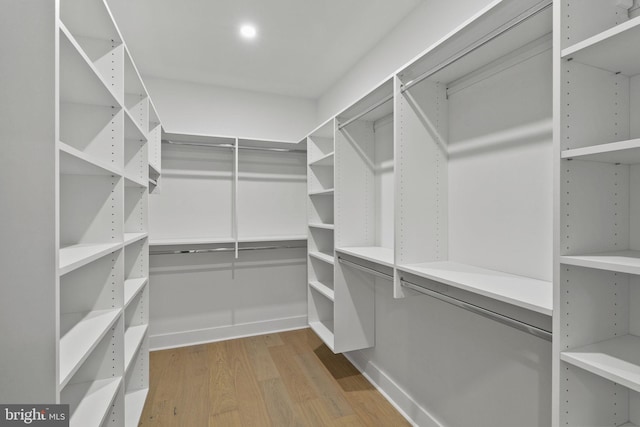 spacious closet featuring hardwood / wood-style floors