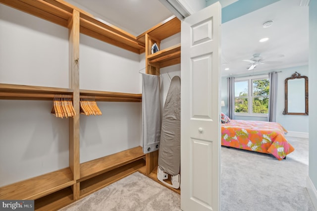 interior space with light colored carpet and ceiling fan