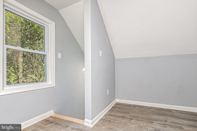 bonus room with lofted ceiling, wood-type flooring, and a wealth of natural light