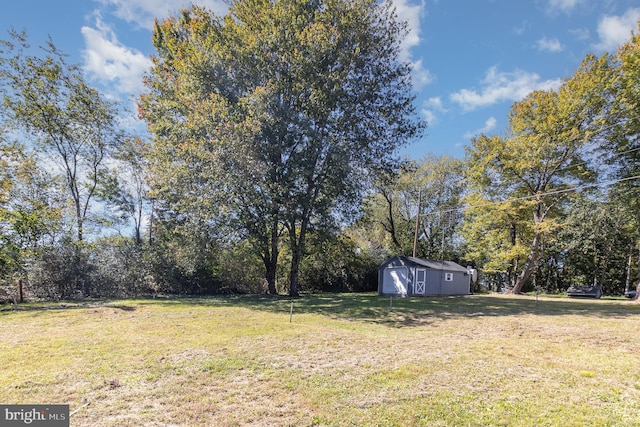 view of yard with a shed