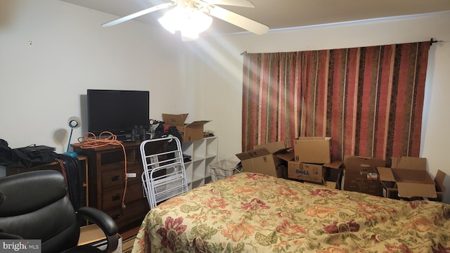 bedroom with ceiling fan