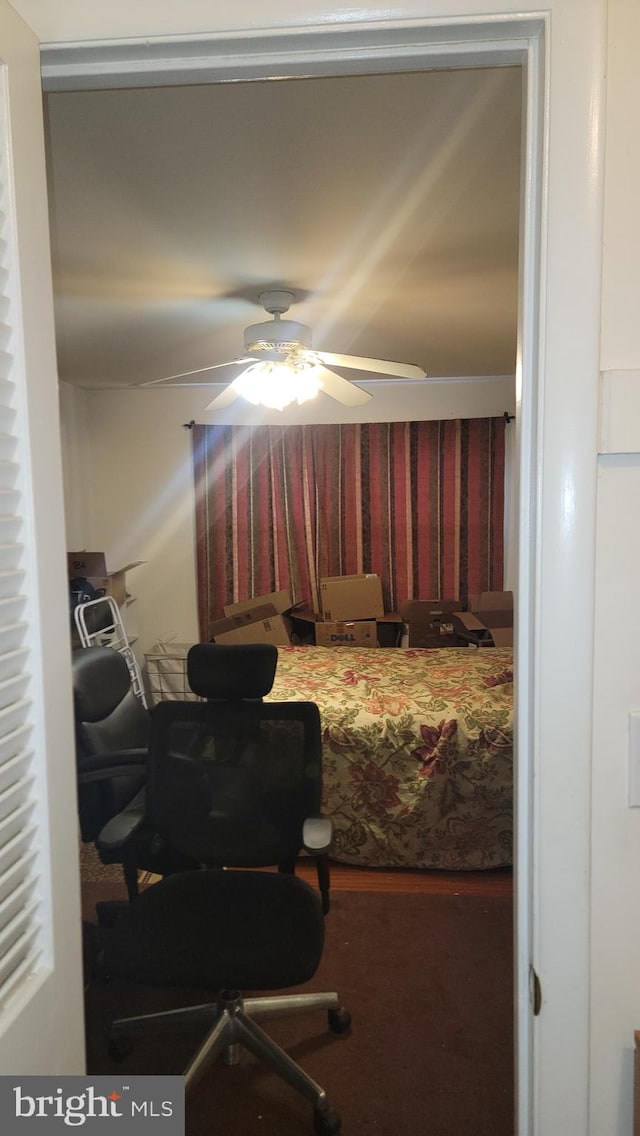 bedroom with ceiling fan