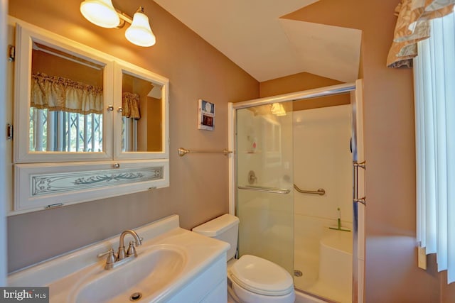 bathroom featuring vanity, lofted ceiling, toilet, and an enclosed shower