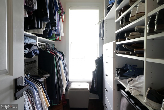 view of spacious closet