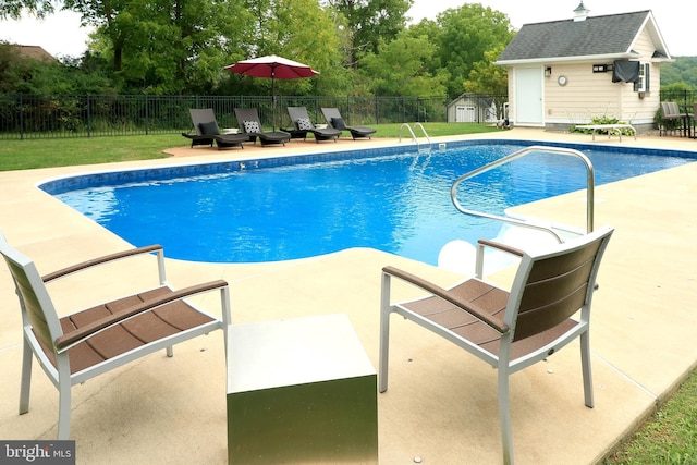 view of swimming pool with a patio, a shed, and a lawn