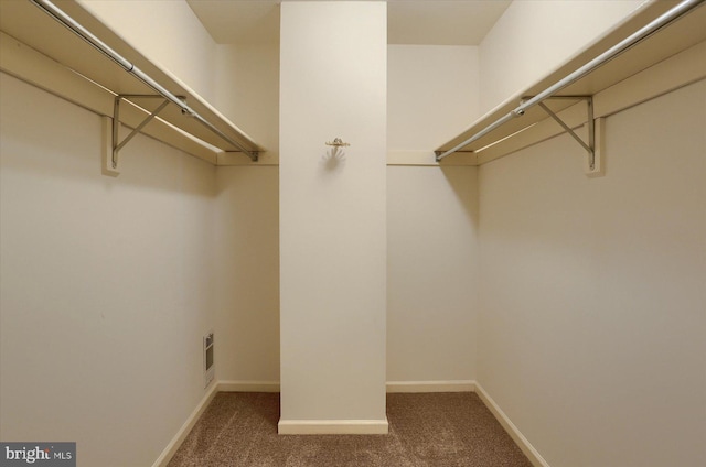 spacious closet featuring carpet