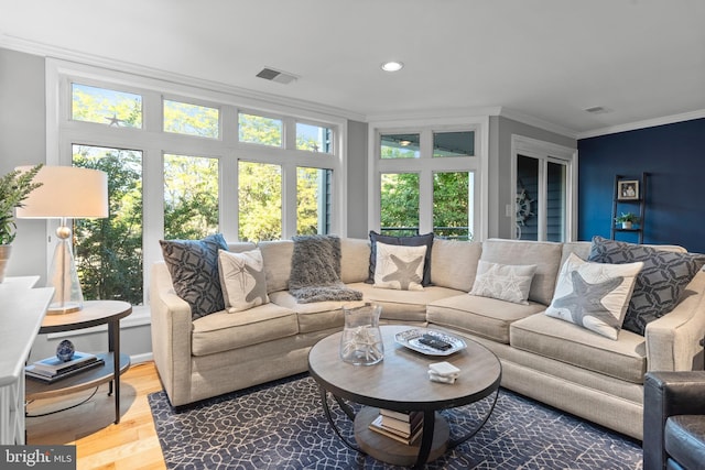 living room with ornamental molding, plenty of natural light, and hardwood / wood-style flooring