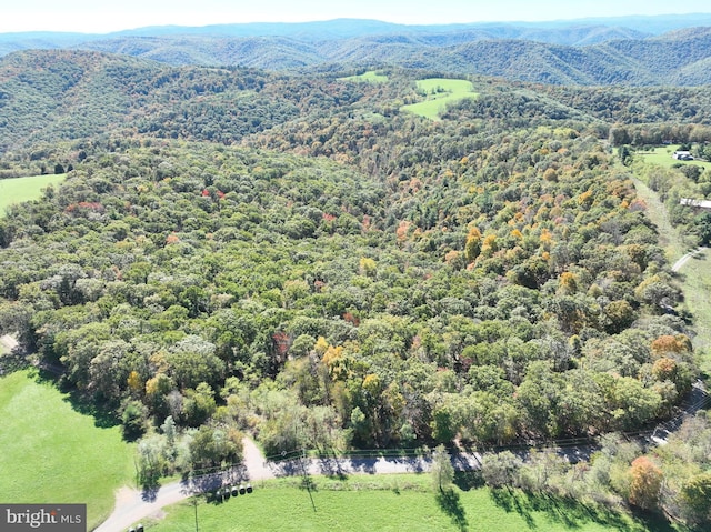 40.00AC Shenandoah Mountain Rd, Mathias WV, 26812 land for sale