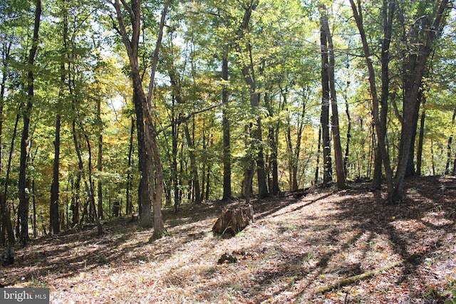 Listing photo 2 for 40.00AC Shenandoah Mountain Rd, Mathias WV 26812