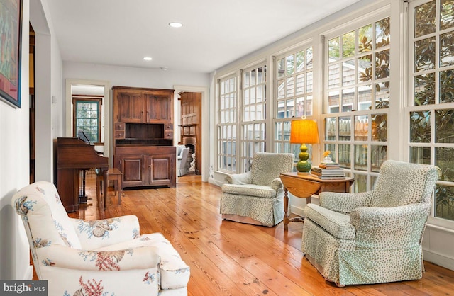 living area featuring a healthy amount of sunlight and light wood-type flooring