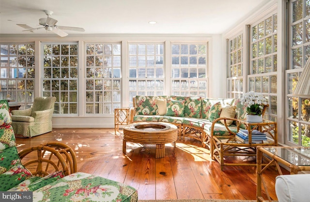 69 Henlopen Ave, Rehoboth Beach, DE 19971 - sunroom featuring hardwood / wood-style flooring and healthy amount of natural light