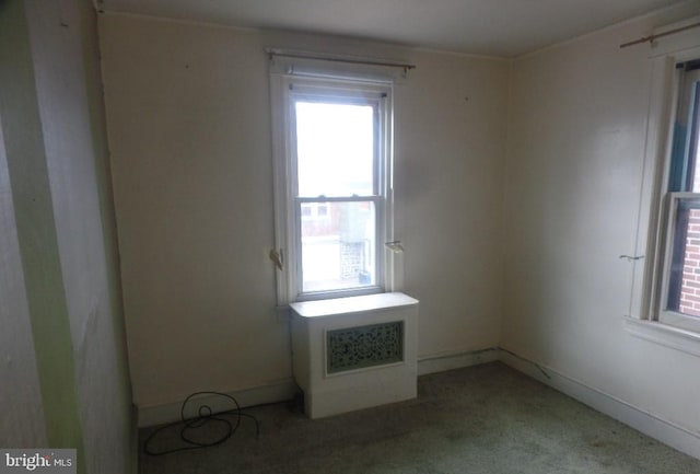 spare room featuring light carpet and plenty of natural light