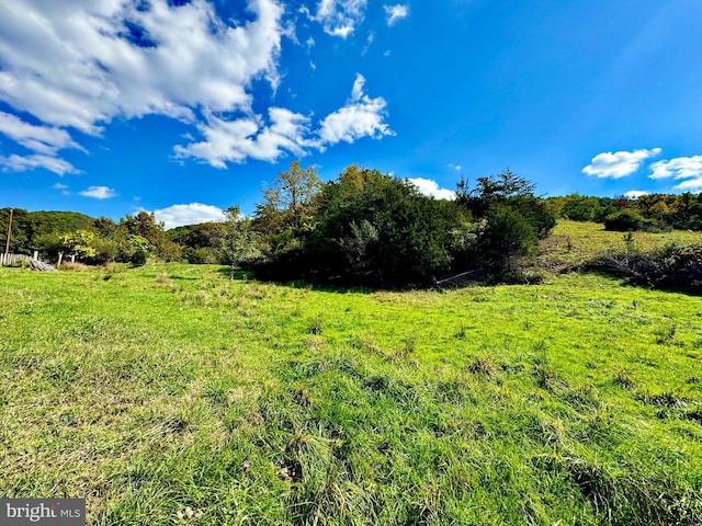 view of landscape with a rural view