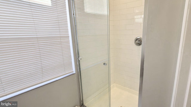 bathroom featuring a shower with shower door