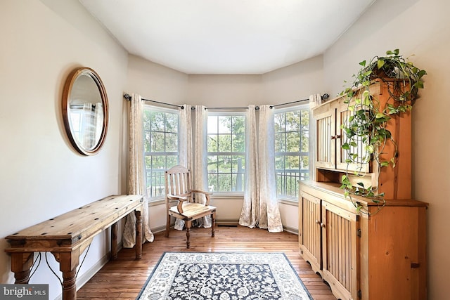 sitting room featuring hardwood / wood-style flooring