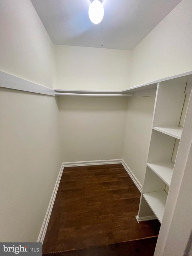 walk in closet featuring dark hardwood / wood-style flooring