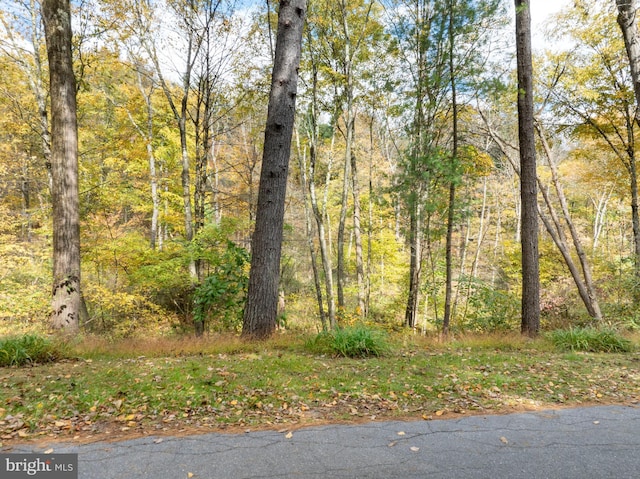 Richner Hollow Rd, Howard, PA 16841