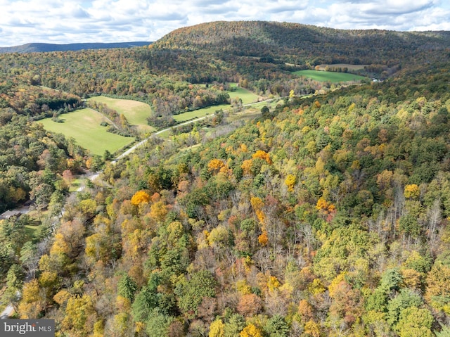 Richner Hollow Rd, Howard, PA 16841