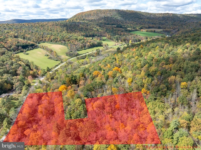 Richner Hollow Rd, Howard, PA 16841