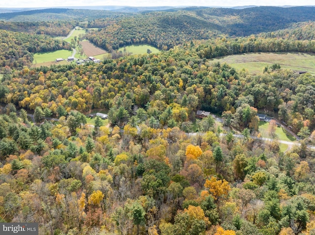 Richner Hollow Rd, Howard, PA 16841