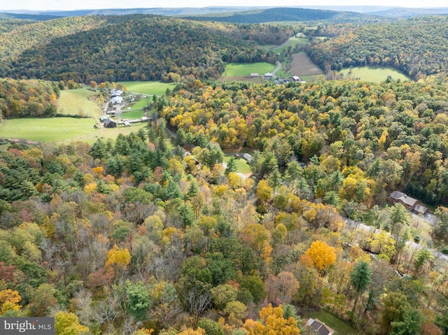 Richner Hollow Rd, Howard, PA 16841