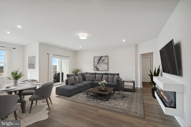 living room with dark hardwood / wood-style flooring