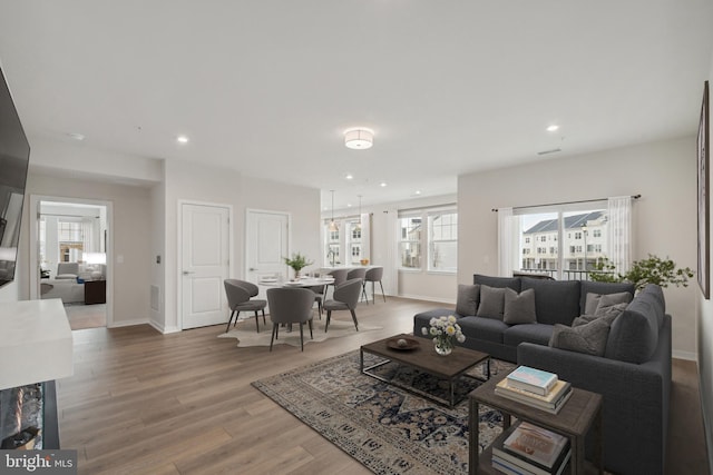 living room with wood-type flooring