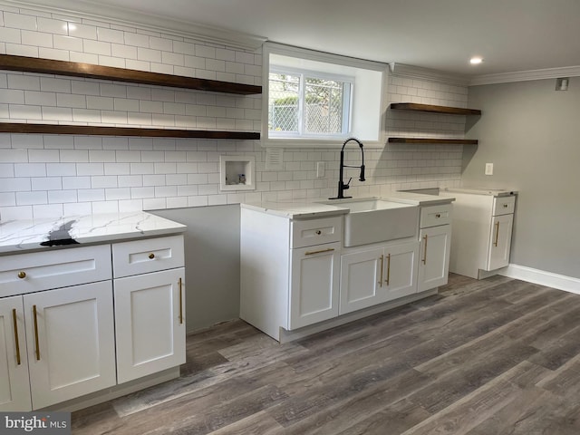 kitchen featuring white cabinets, crown molding, dark hardwood / wood-style floors, and decorative backsplash