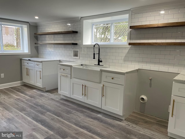 kitchen featuring decorative backsplash, dark hardwood / wood-style floors, white cabinets, and sink